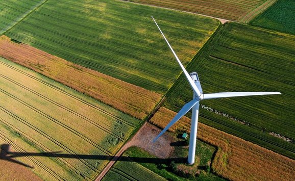 shutterstock_200445020.original (2).jpg