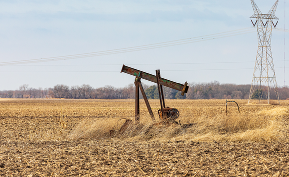 shutterstock_2037903113