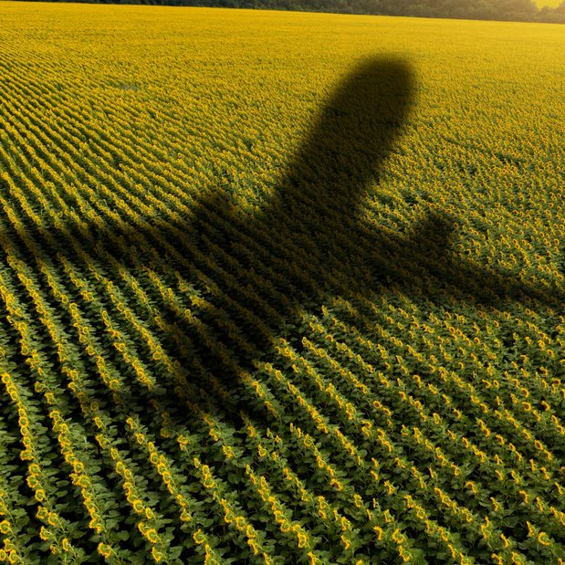 shutterstock_2261125883