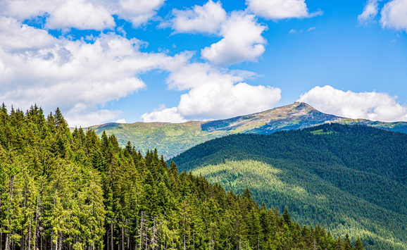 shutterstock_2320323181