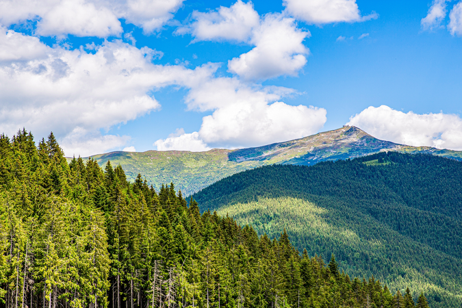 shutterstock_2320323181