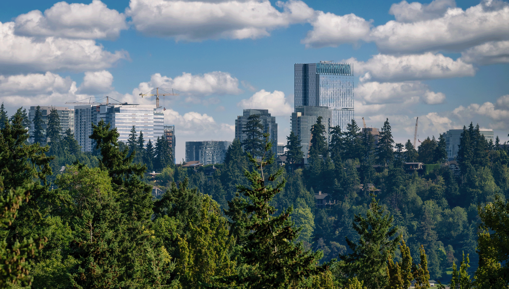 Photo of the city of Bellevue, Washington, skyline with buildings, cranes, cloudy sky, from the perspective of forest in the foreground