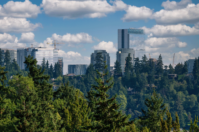 Photo of the city of Bellevue, Washington, skyline with buildings, cranes, cloudy sky, from the perspective of forest in the foreground