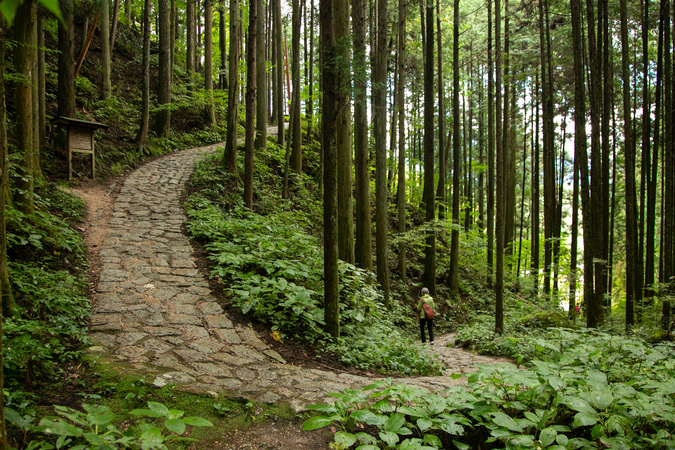 shutterstock_2405957719 (16x9)