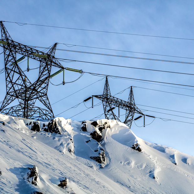 shutterstock_2430401967