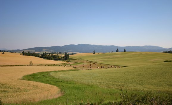 shutterstock_2441628539