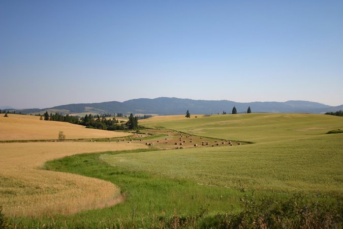 shutterstock_2441628539