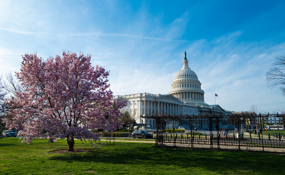 shutterstock_2447977967