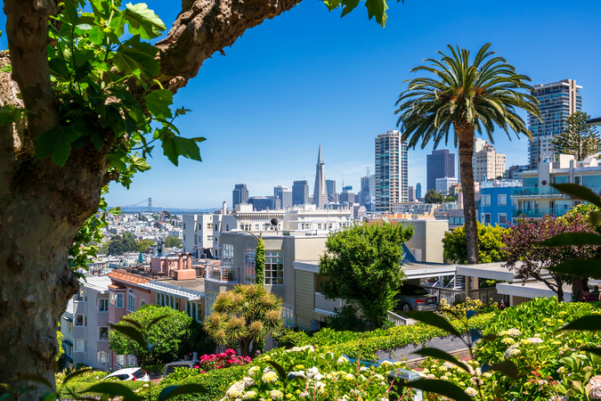 shutterstock_2453488771 (16x9)