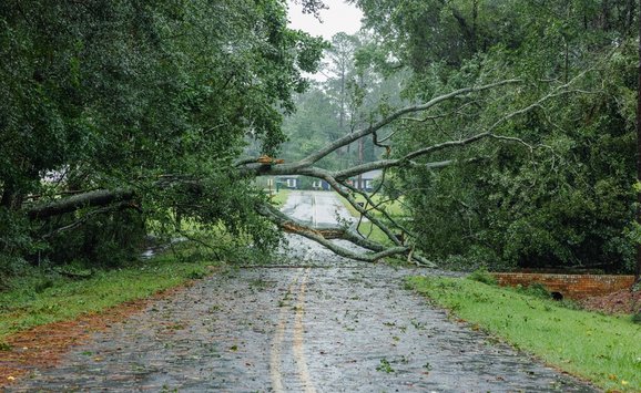 shutterstock_2499205443