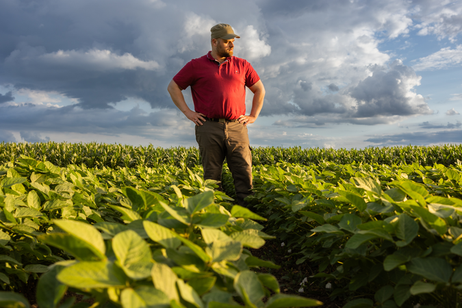 Man in red shirt stands in a soybean field on a sunny day.