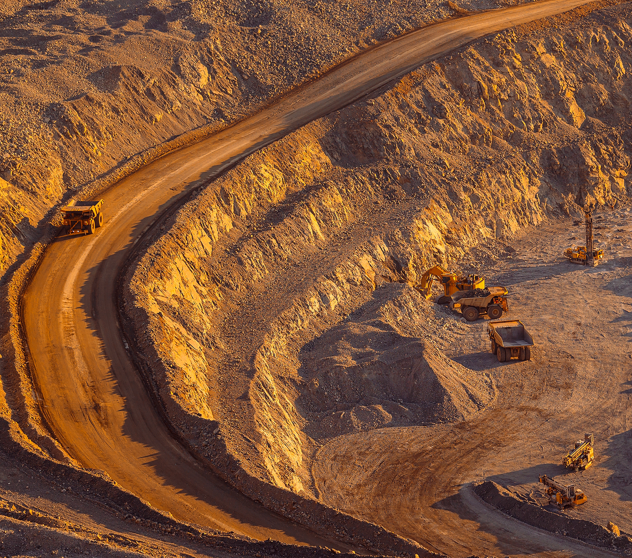 shutterstock_2546222937