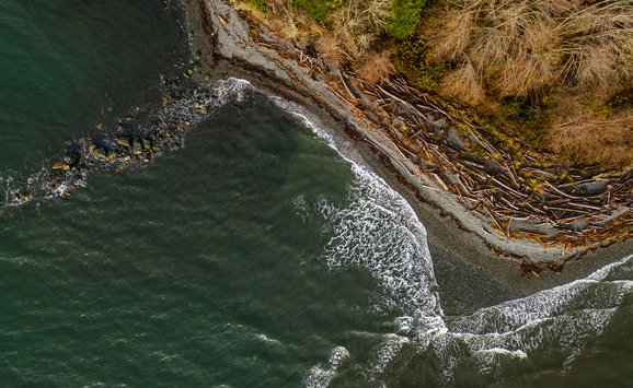 shutterstock_2557924911