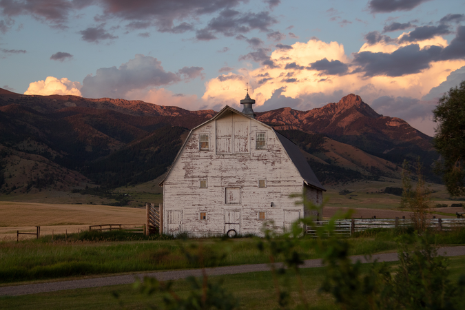 shutterstock_2559757101