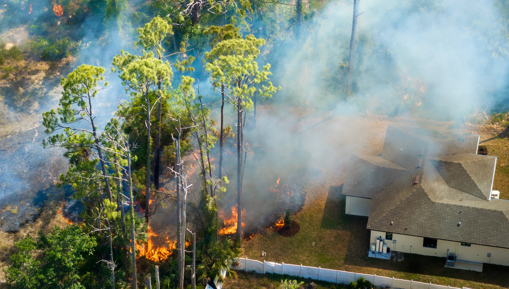 A fire lights up trees, blowing smoke over nearby homes
