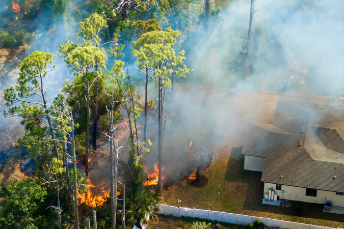 A fire lights up trees, blowing smoke over nearby homes