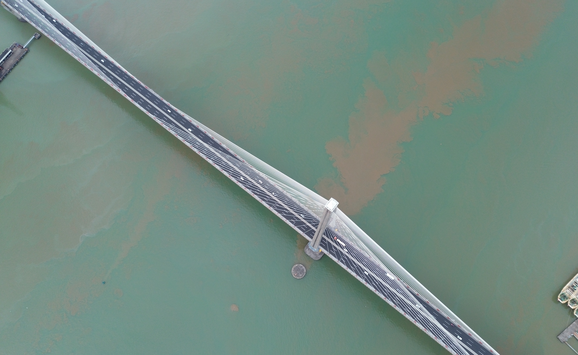 shutterstock_2654205719