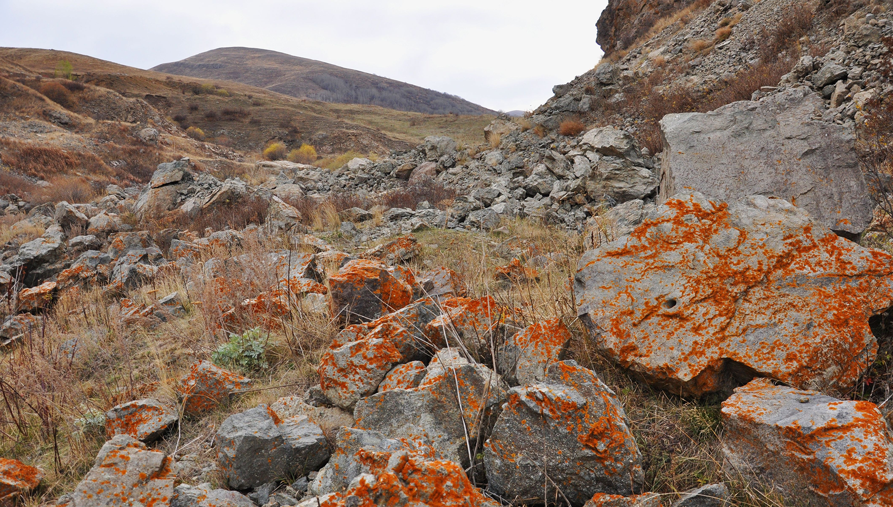 Red, iron-rich rocks on the side of a mountain