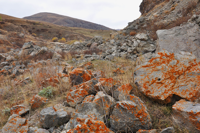 Red, iron-rich rocks on the side of a mountain