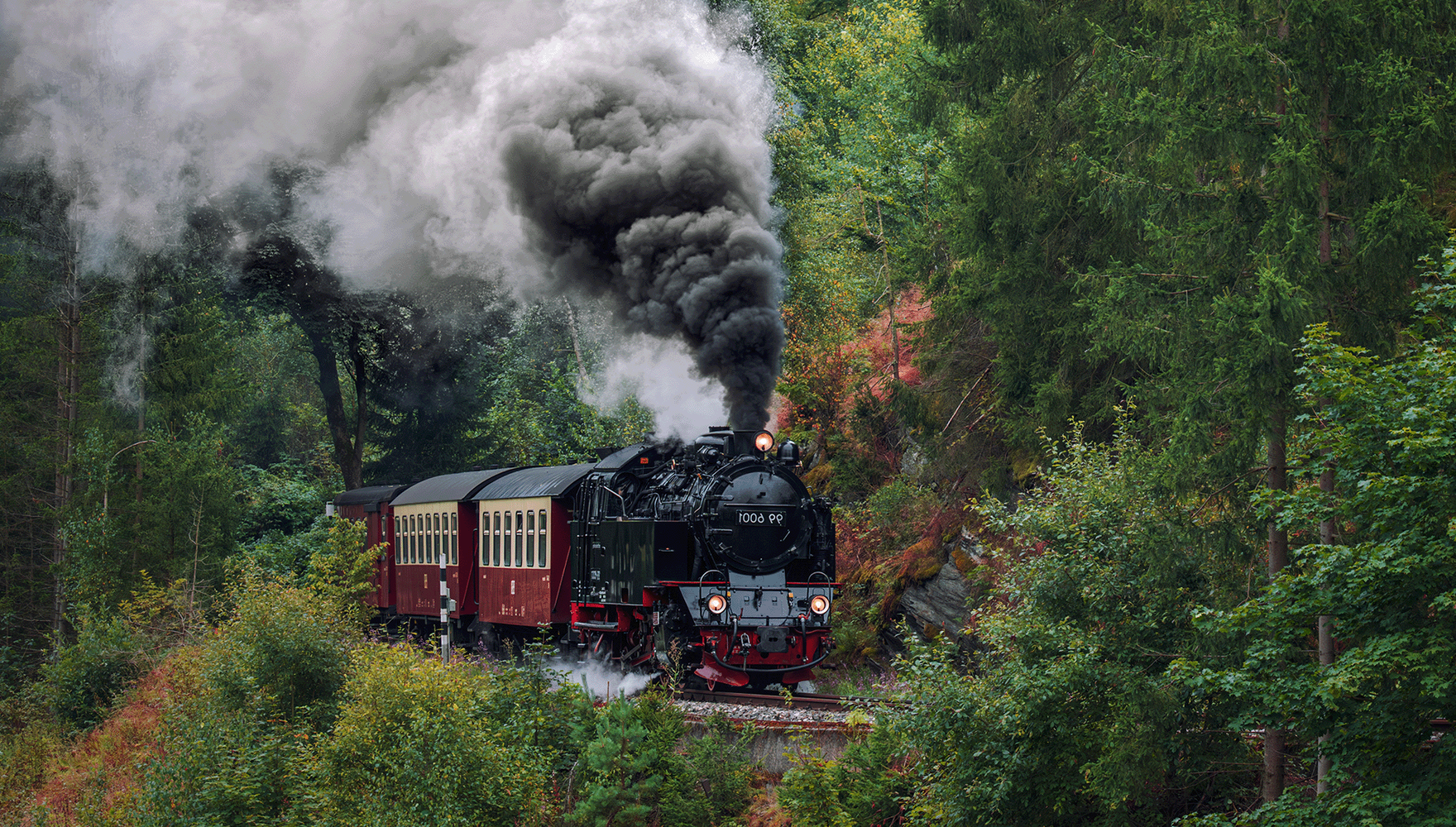 A steam-powered train emitting black smoke travels through a forest