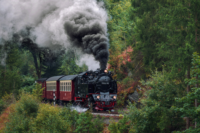 A steam-powered train emitting black smoke travels through a forest