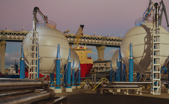 shutterstock_2686504123