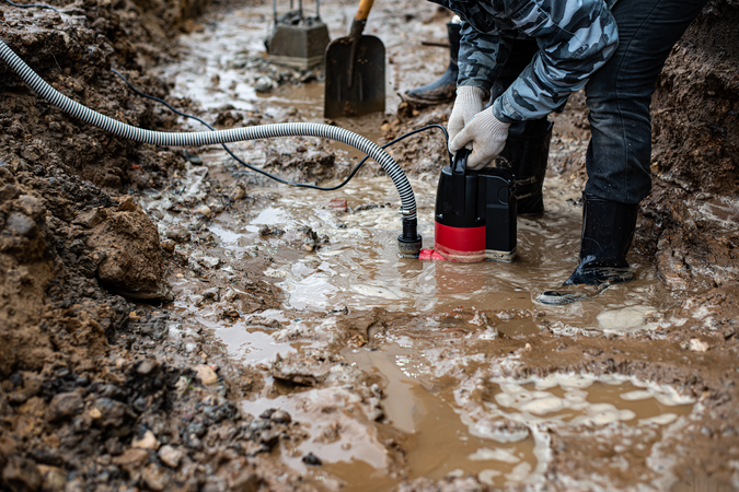 shutterstock_2700655783