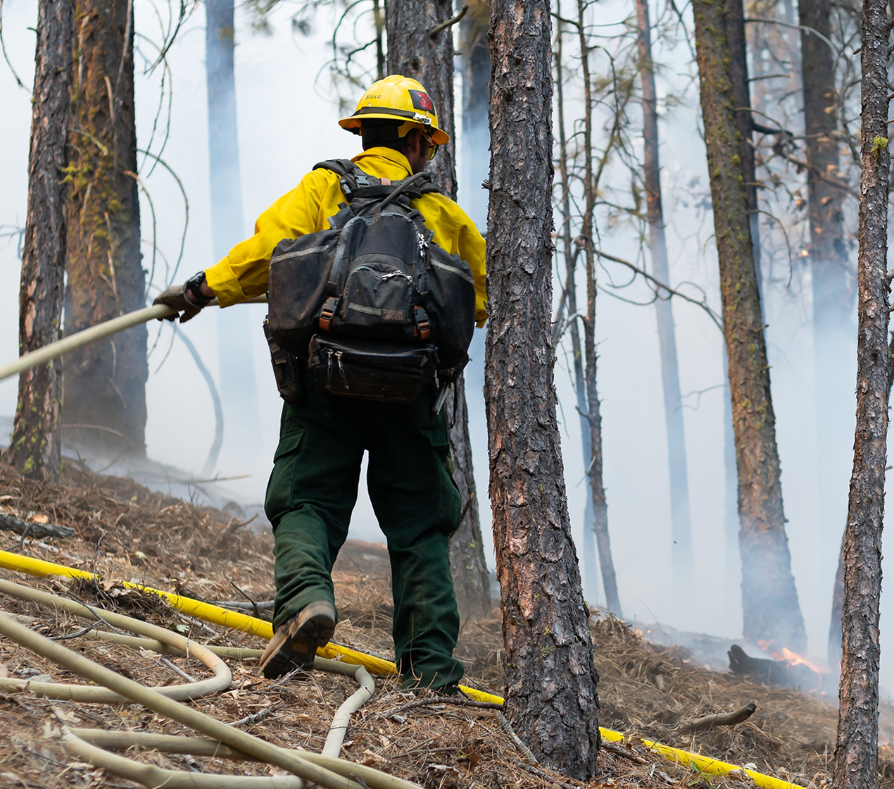 Firefighters containing a wildfire on a mountainside in California