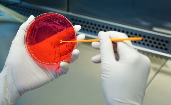 shutterstock_289061147