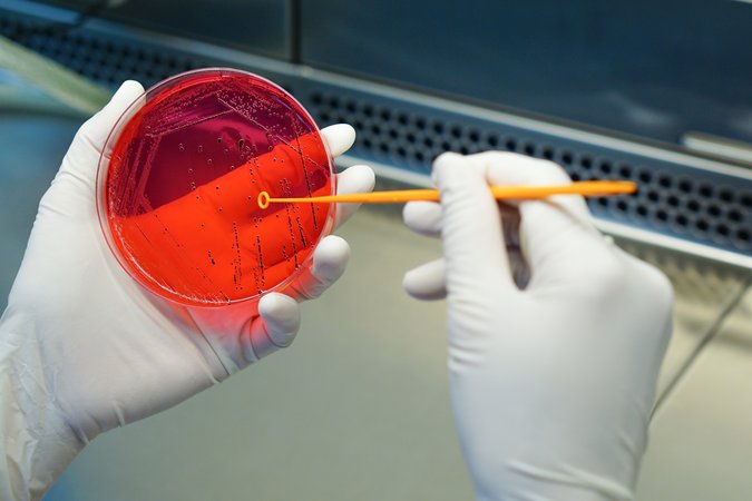 shutterstock_289061147