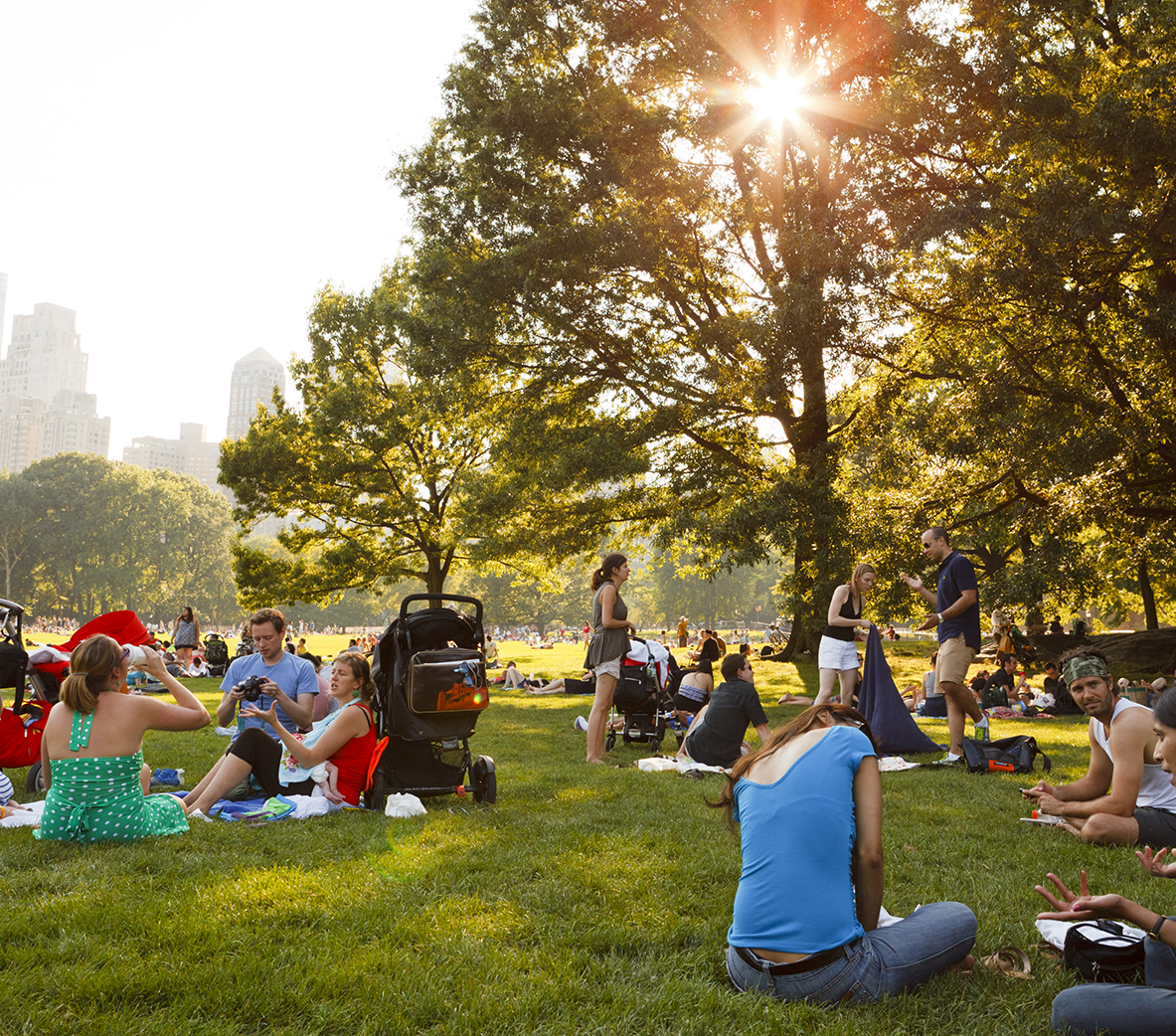 People enjoying a sunny day in a park in New York City