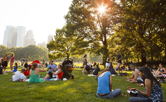 People enjoying a sunny day in a park in New York City