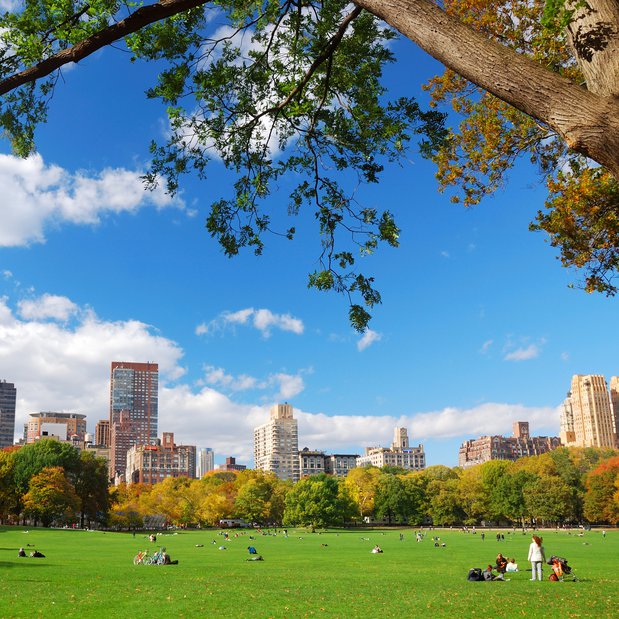 shutterstock_65988424.jpg