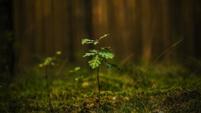 shutterstock_679813837.jpg