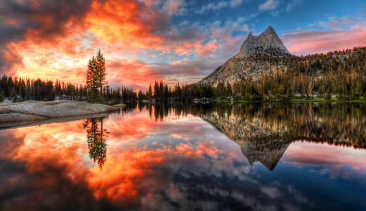 shutterstock_94624858.jpg